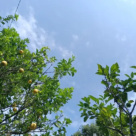 Oasi A Sant'ilario * Genua
