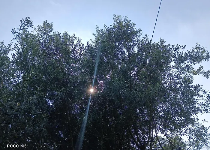 Oasi A Sant'ilario *