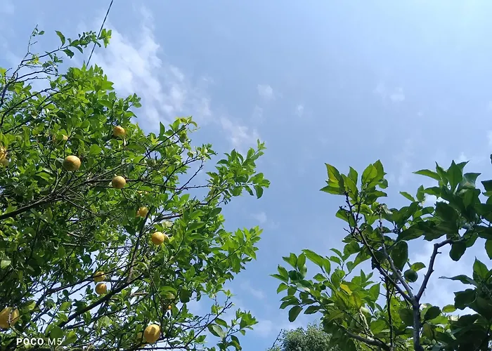 Oasi A Sant'ilario * Génova